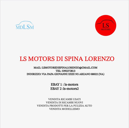 Liquido Antigelo Refrigerante Originale Volkswagen G12evo Seat Skoda Audi 1l x2 | Volkswagen | LS Motors